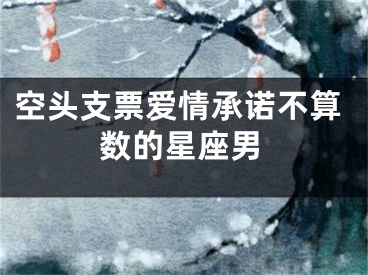 空头支票爱情承诺不算数的星座男