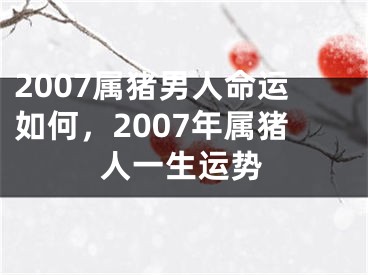2007属猪男人命运如何，2007年属猪人一生运势