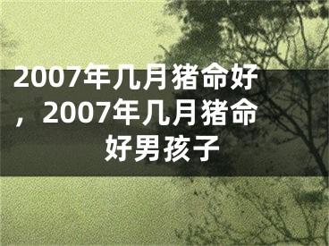 2007年几月猪命好，2007年几月猪命好男孩子