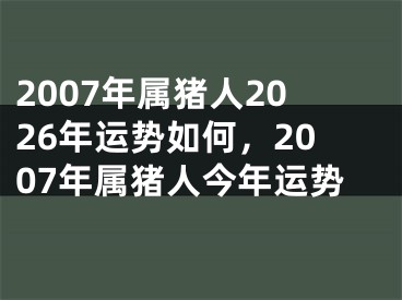 2007年属猪人2026年运势如何，2007年属猪人今年运势