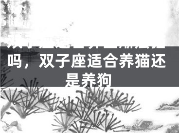 双子座适合养金渐层猫吗,双子座适合养猫还是养狗