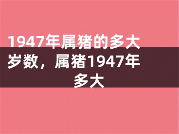 1947年属猪的多大岁数，属猪1947年多大
