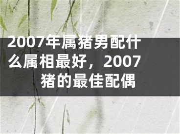 2007年属猪男配什么属相最好,2007猪的最佳配偶