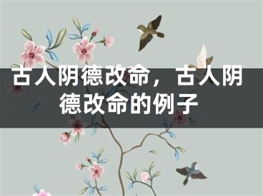 古人阴德改命,古人阴德改命的例子