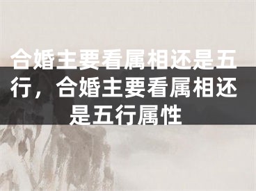 合婚主要看属相还是五行，合婚主要看属相还是五行属性