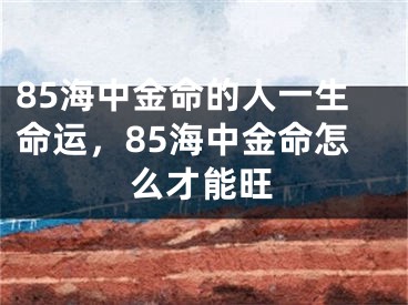 85海中金命的人一生命运，85海中金命怎么才能旺