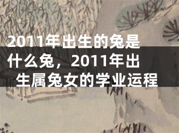 2011年出生的兔是什么兔，2011年出生属兔女的学业运程