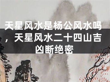 天星风水是杨公风水吗，天星风水二十四山吉凶断绝密