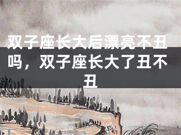 双子座长大后漂亮不丑吗，双子座长大了丑不丑