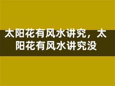 太阳花有风水讲究，太阳花有风水讲究没