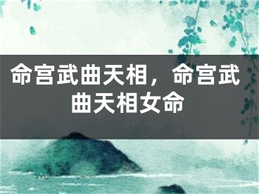 命宫武曲天相，命宫武曲天相女命