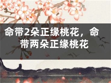 命带2朵正缘桃花，命带两朵正缘桃花