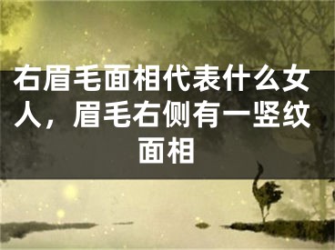 右眉毛面相代表什么女人，眉毛右侧有一竖纹面相
