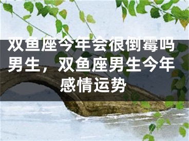 双鱼座今年会很倒霉吗男生，双鱼座男生今年感情运势