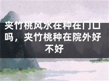 夹竹桃风水在种在门口吗，夹竹桃种在院外好不好