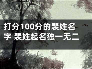 打分100分的裴姓名字 裴姓起名独一无二