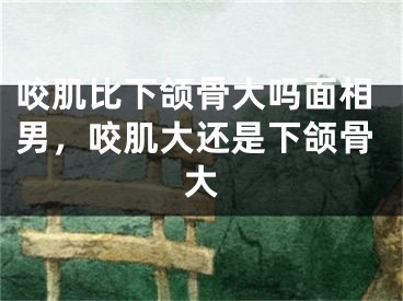咬肌比下颌骨大吗面相男，咬肌大还是下颌骨大