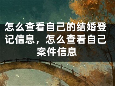 怎么查看自己的结婚登记信息，怎么查看自己案件信息