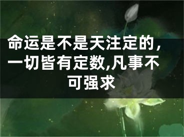 命运是不是天注定的，一切皆有定数,凡事不可强求