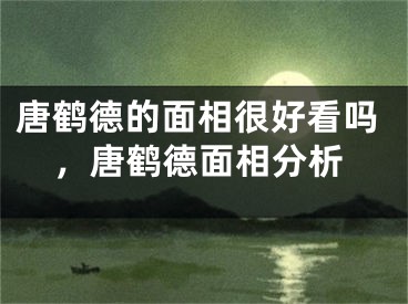 唐鹤德的面相很好看吗，唐鹤德面相分析