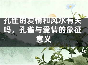孔雀的爱情和风水有关吗,孔雀与爱情的象征意义