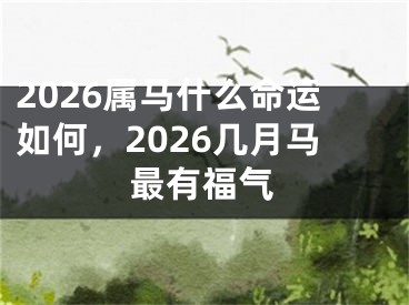 2026属马什么命运如何,2026几月马最有福气