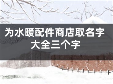 为水暖配件商店取名字大全三个字