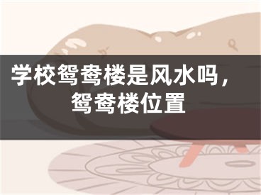 学校鸳鸯楼是风水吗，鸳鸯楼位置