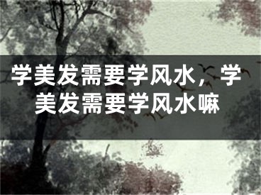 学美发需要学风水，学美发需要学风水嘛