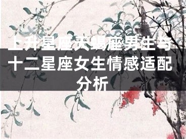 上升星座天蝎座男生与十二星座女生情感适配分析