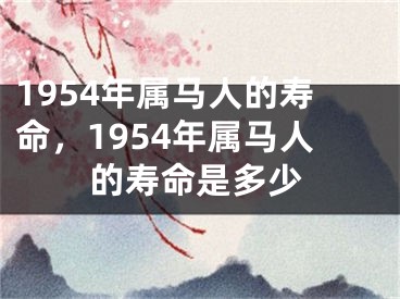 1954年属马人的寿命,1954年属马人的寿命是多少