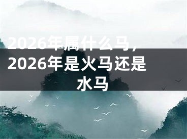2026年属什么马，2026年是火马还是水马