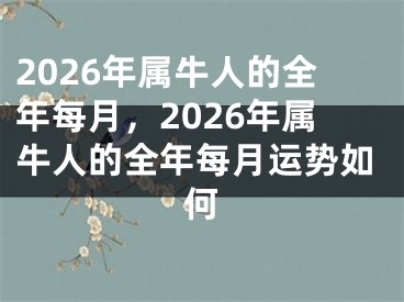 2026年属牛人的全年每月，2026年属牛人的全年每月运势如何