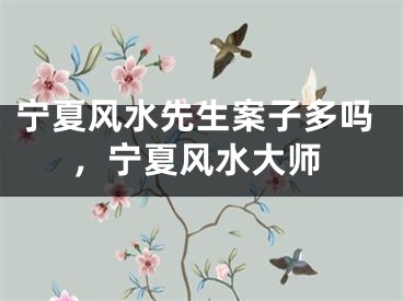 宁夏风水先生案子多吗,宁夏风水大师