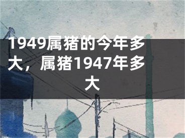 1949属猪的今年多大，属猪1947年多大