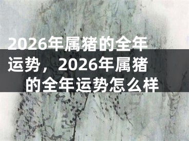 2026年属猪的全年运势，2026年属猪的全年运势怎么样