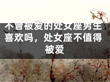不曾被爱的处女座男生喜欢吗,处女座不值得被爱