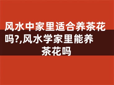 风水中家里适合养茶花吗?,风水学家里能养茶花吗