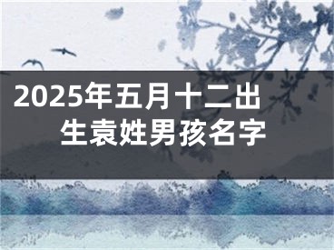 2025年五月十二出生袁姓男孩名字