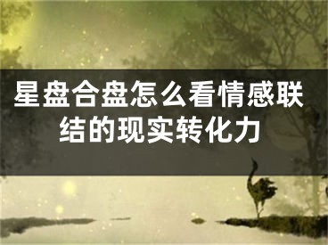 星盘合盘怎么看情感联结的现实转化力