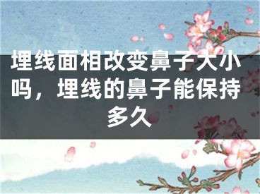 埋线面相改变鼻子大小吗，埋线的鼻子能保持多久