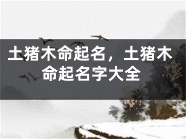 土猪木命起名，土猪木命起名字大全