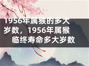 1956年属猴的多大岁数，1956年属猴临终寿命多大岁数