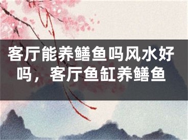 客厅能养鳝鱼吗风水好吗，客厅鱼缸养鳝鱼