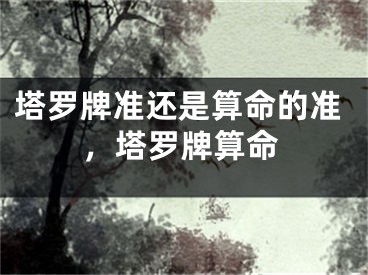 塔罗牌准还是算命的准,塔罗牌算命