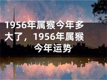1956年属猴今年多大了，1956年属猴今年运势