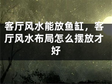 客厅风水能放鱼缸,客厅风水布局怎么摆放才好