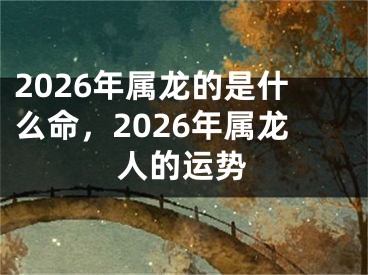 2026年属龙的是什么命,2026年属龙人的运势