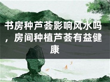 书房种芦荟影响风水吗，房间种植芦荟有益健康