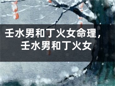 壬水男和丁火女命理，壬水男和丁火女